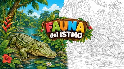 El cocodrilo aparece en ‘Fauna del Istmo’: Mi Diario trae una lámina para colorear y aprender