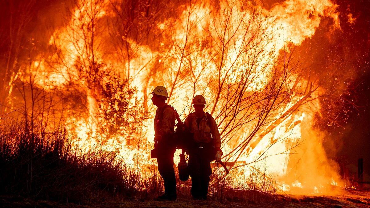 Investigadores creen haber descubierto qué originó los incendios