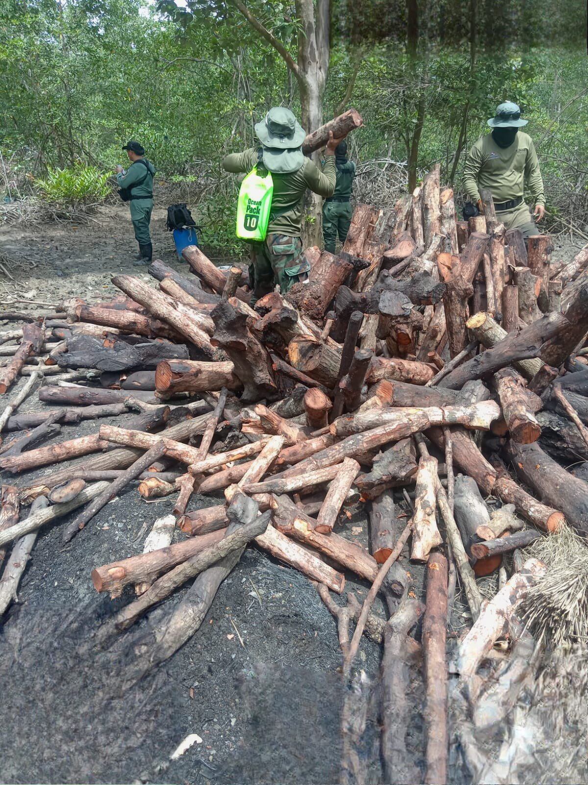 Desmantelan campamento clandestino que dañaba manglares en Bahía de Chame