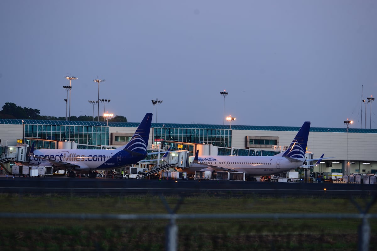Remueven nidos de aves en el aeropuerto de Tocumen para evitar futuros accidentes