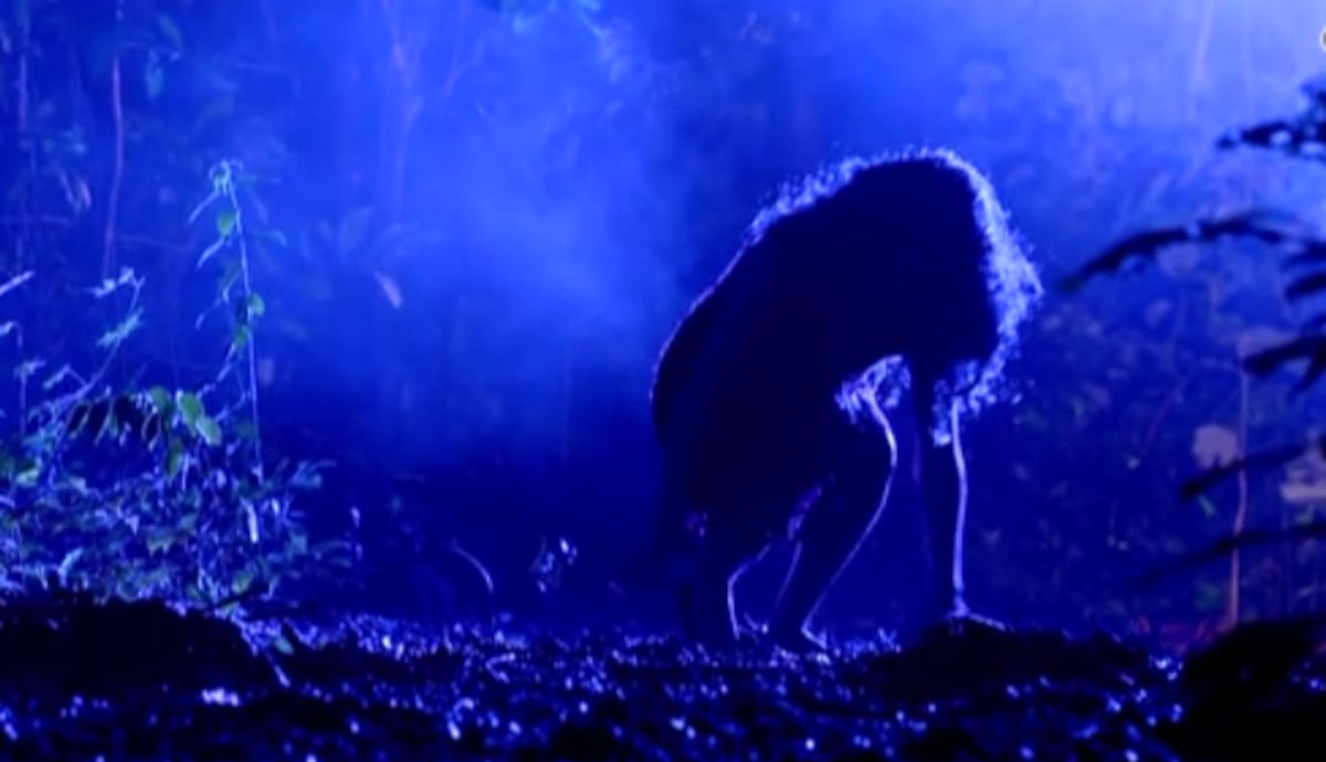 Habitantes de un pueblo aseguran haber visto a ‘la llorona’