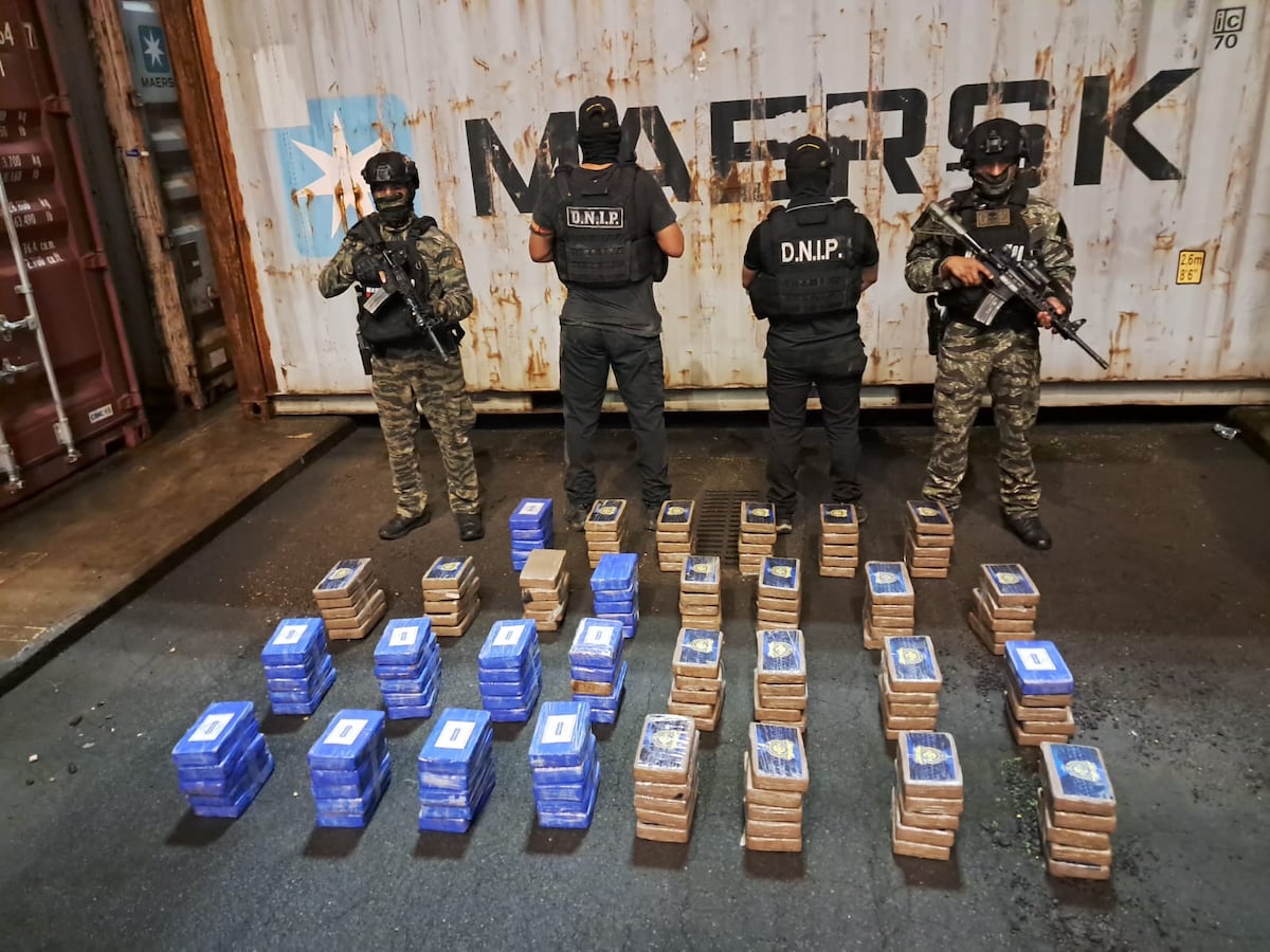 Puertos en alerta: Más de 3 toneladas de presunta droga incautadas en dos operaciones clave