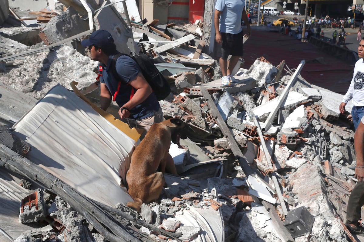 ¡Qué susto! Sandra Sandoval bajó 14 pisos con su hijo tras terremoto; este es el testimonio de los hermanos