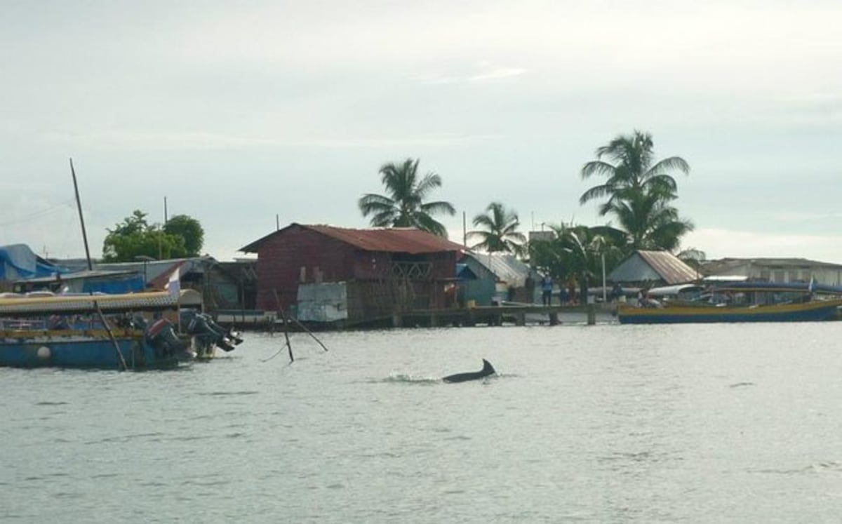 “No pudo salir del agua…”: Hallan sin vida a Santiago Alfaro en costas de Guna Yala