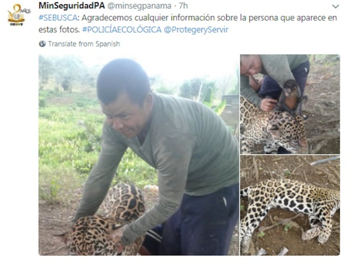 ¡SE BUSCA! Las autoridades panameñas requieren a este hombre por crueldad animal