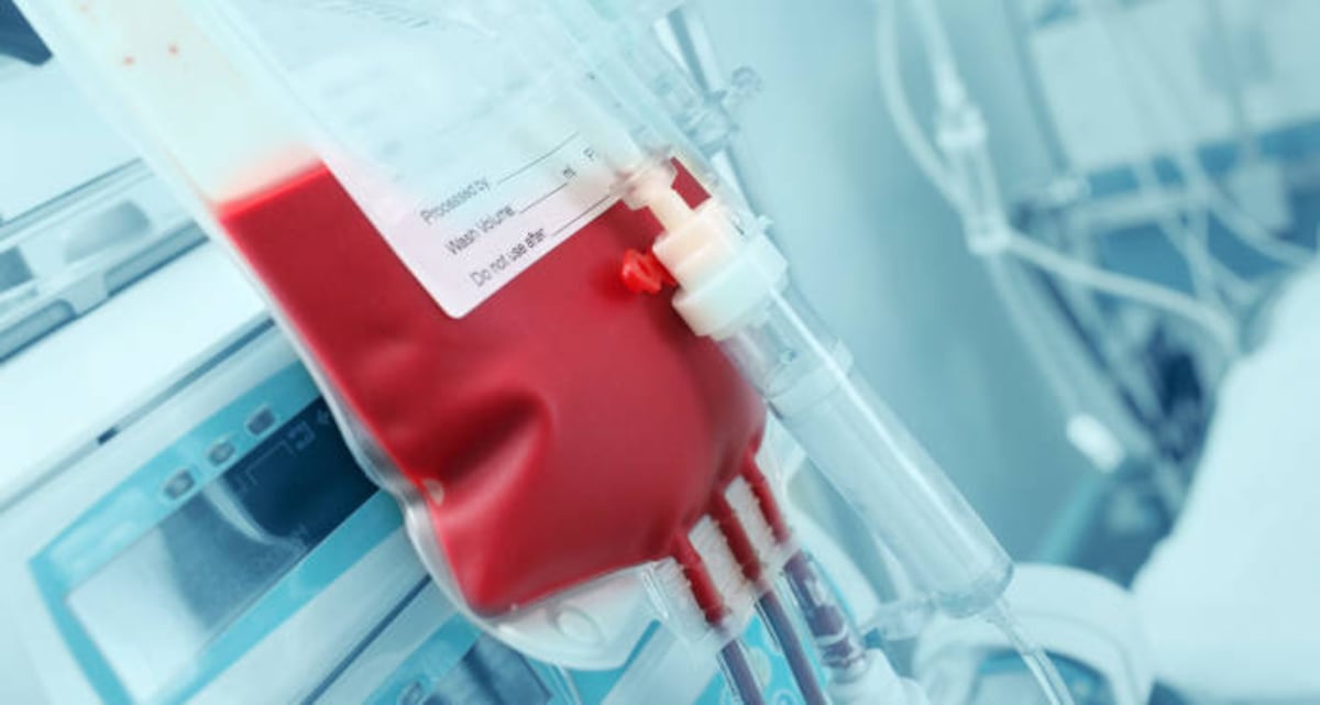 Testigos de Jehová flexibilizan norma: ahora permiten autotransfusión de sangre en cirugías