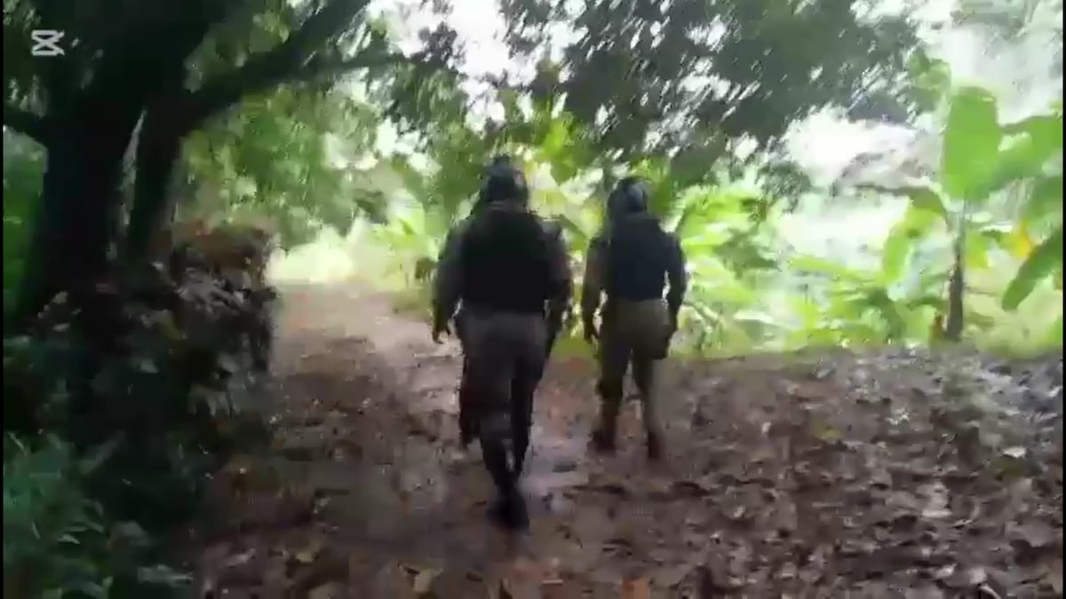 Lo agarraron en el monte: menor implicado en homicidio en Cativá