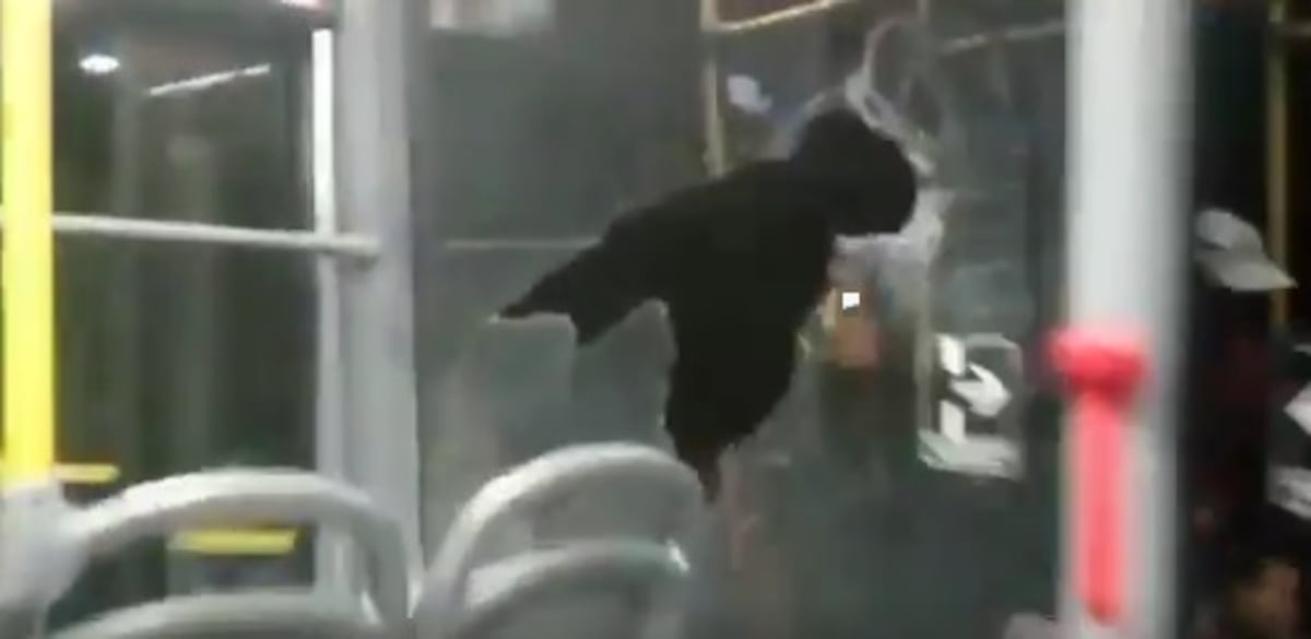 MiBus en alerta por vandalismo: Dos incidentes en menos de 24 horas