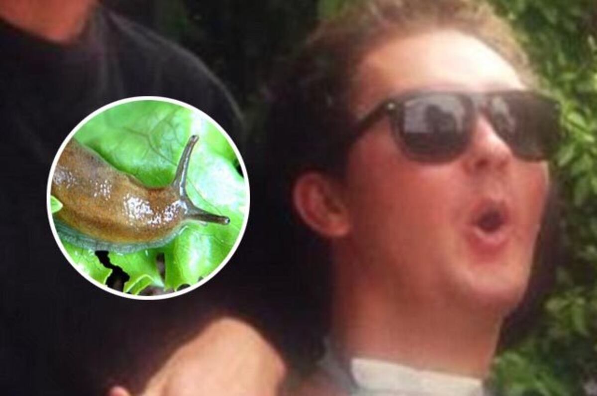 Jugador de rugby muere tras 8 años de inmovilidad por comerse una babosa