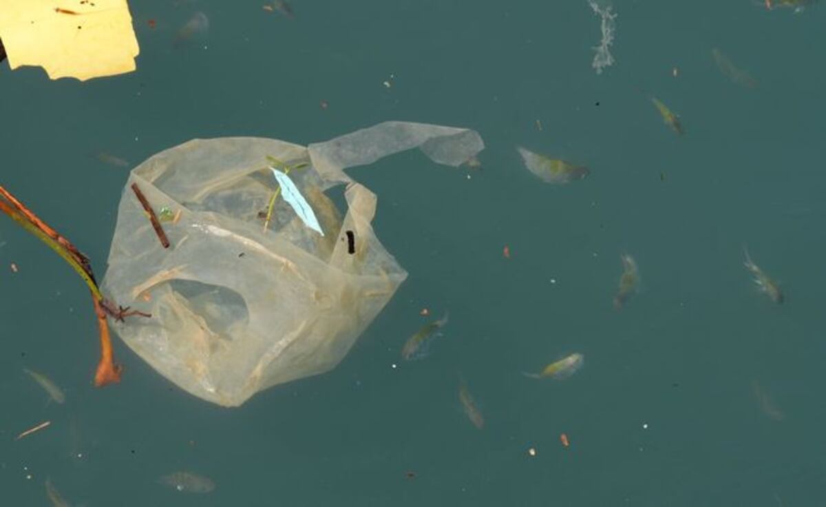 ¡COCHINADA!  Se acaba el año y miren cómo está Amador |VIDEO + FOTOS