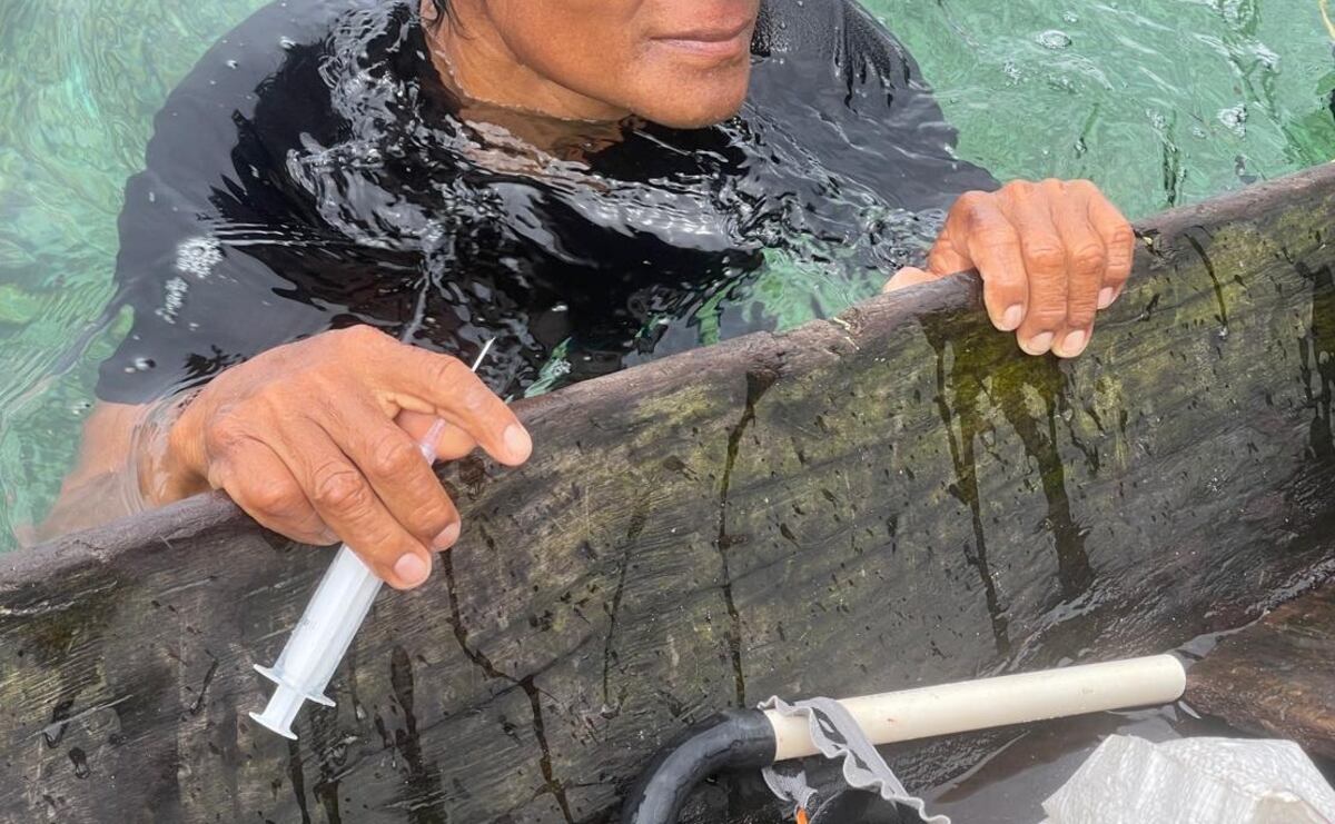 Cierre temporal de Isla Escudo de Veraguas: el paraíso panameño golpeado por la contaminación y pesca ilegal