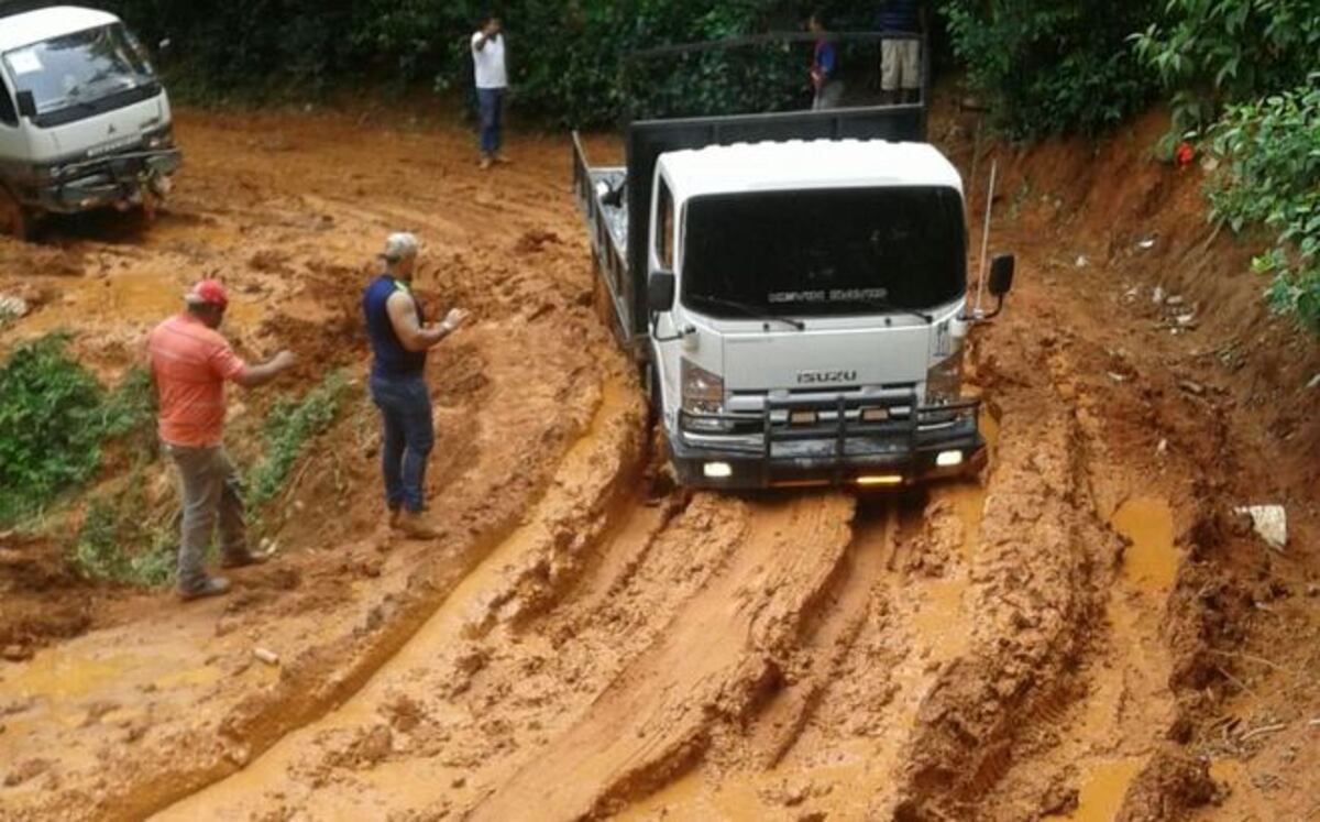 Meduca suspende clases por temporal.  Te diremos dónde