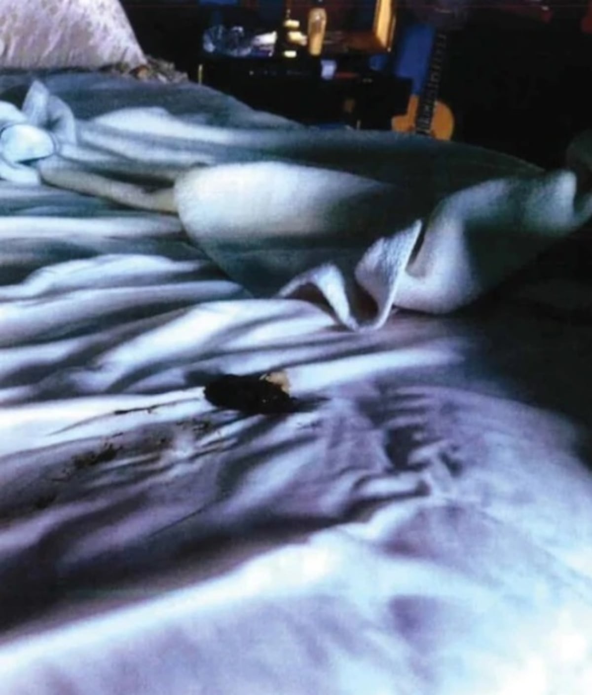 Amber Heard dejó ‘restos fecales humanos’ en la cama de Johnny Deep +Fotos 