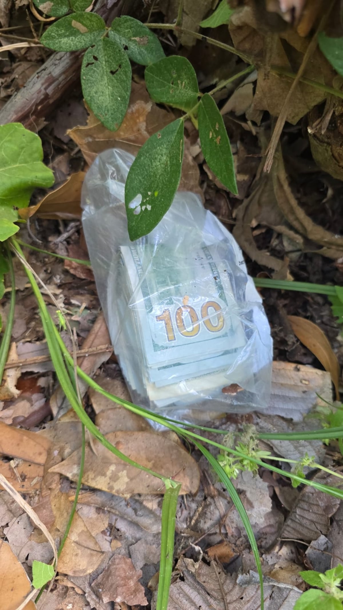 Fronterizos al ataque: caen dos por robo de más de 20 mil dólares en Chepo