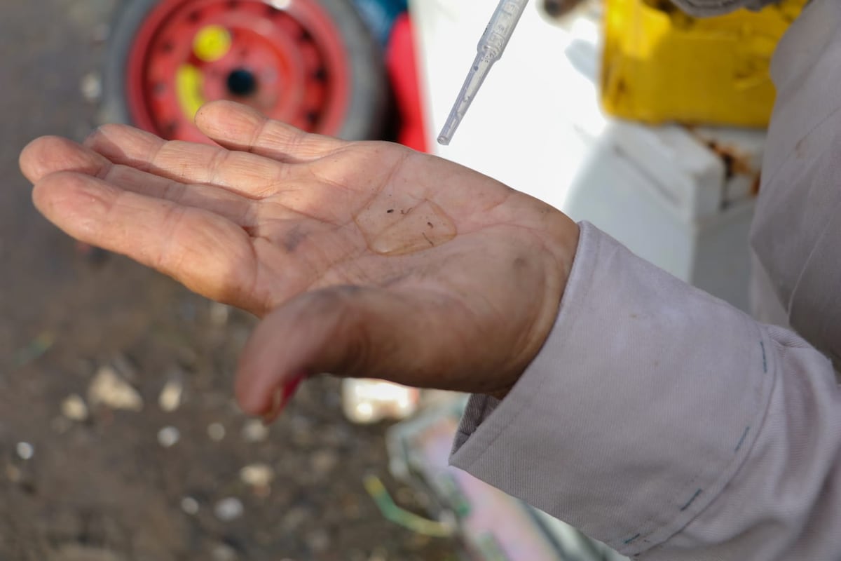 Panamá reduce casi a la mitad los casos de dengue en 2026, según el Minsa