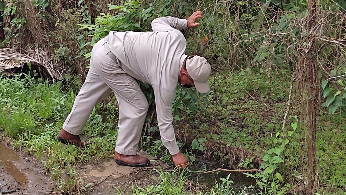 La provincia de Chiriquí registra más de mil casos de dengue clásico. Autoridades de salud están preocupados