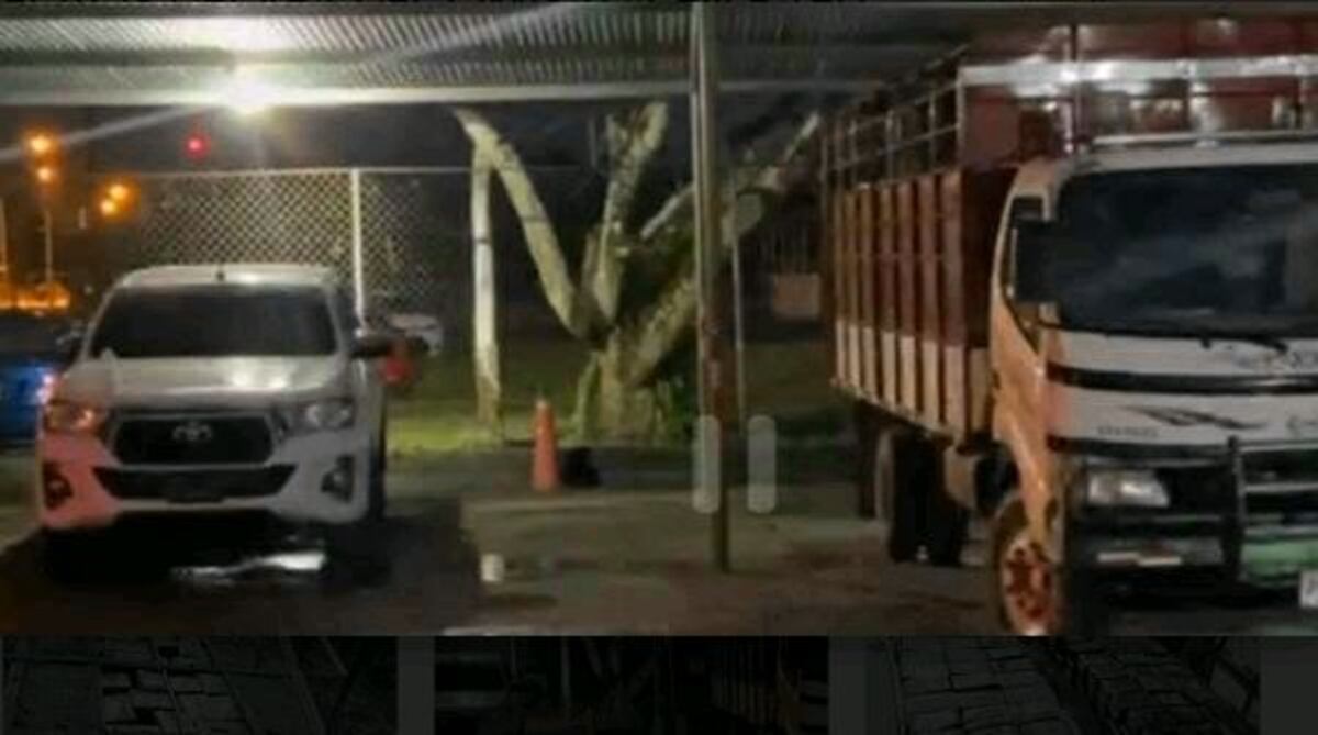 Miren cómo llevaban la droga en un camión. El ingenio no fue bueno