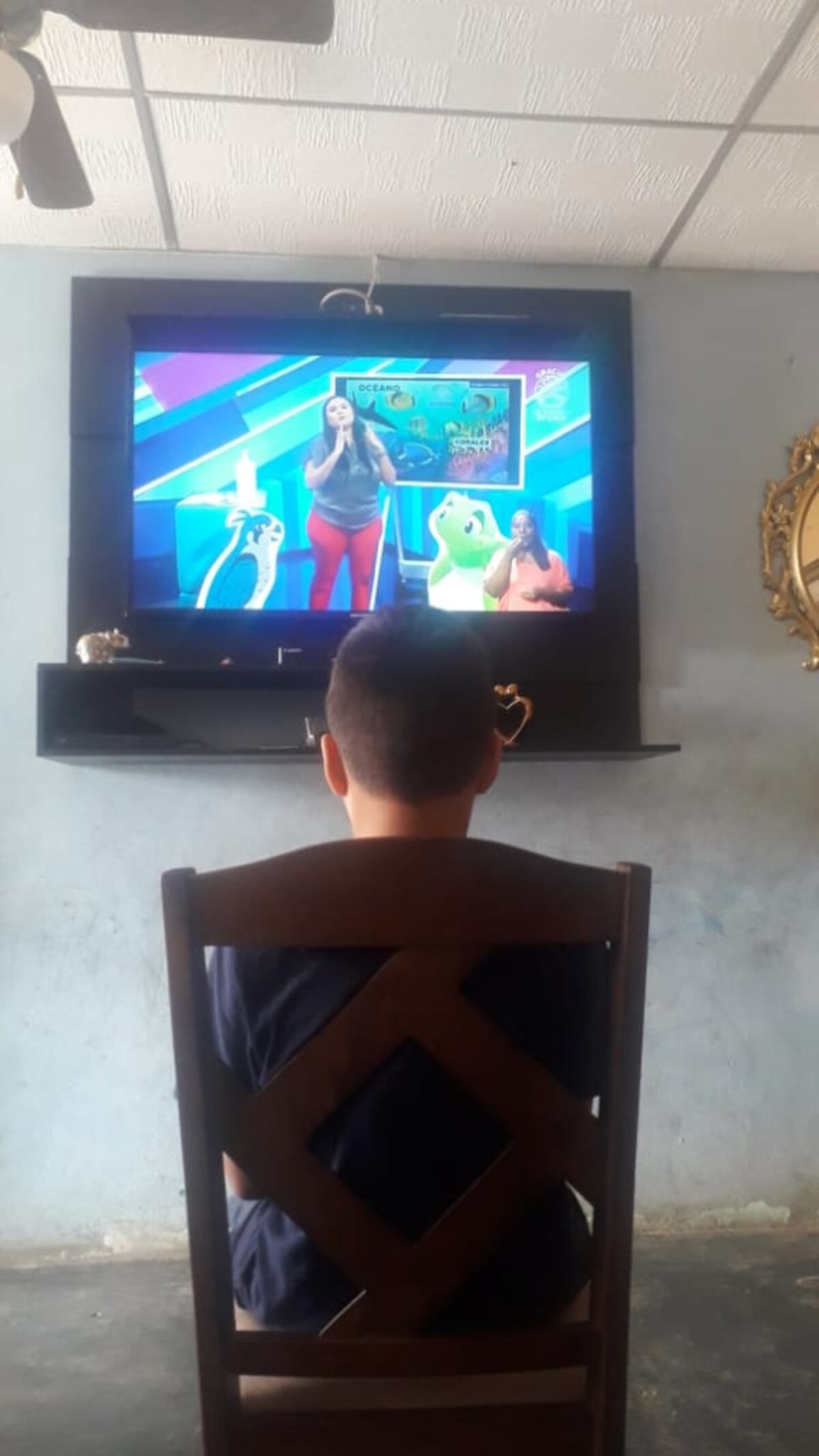 Meduca busca evaluar los métodos de educación a distancia para dar el siguiente paso del reinicio de clases