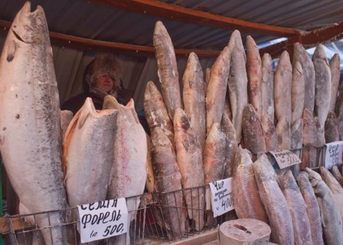 ¡Brrrrr! Oymyakón es el lugar más frío del planeta y está ubicado en Rusia