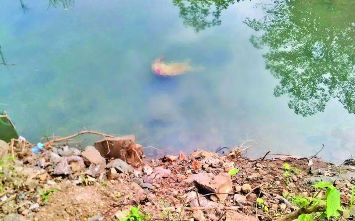 ¡ATROCES! Mutilación criminal en Panamá va en aumento