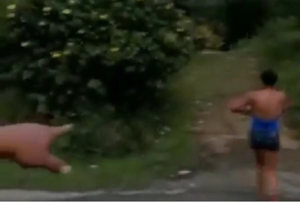 Conductor encuentra a un bebé corriendo en la vía Panamericana (Video)