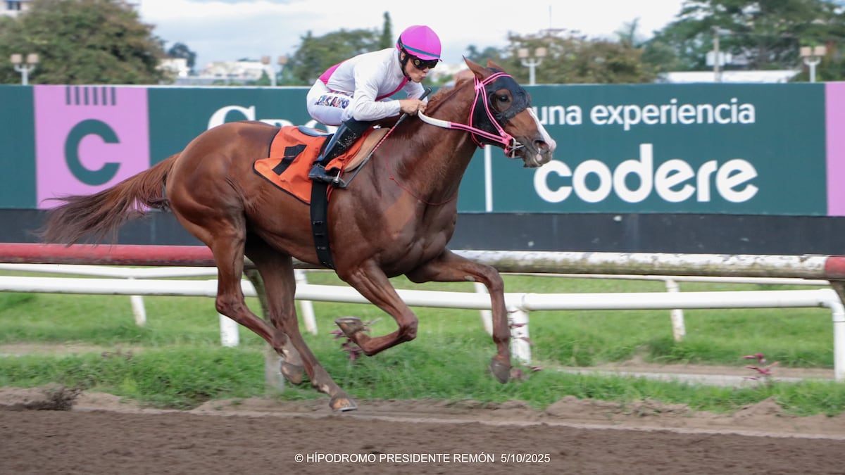 Maverick desata su furia y vuela directo al Clásico del Caribe 2025