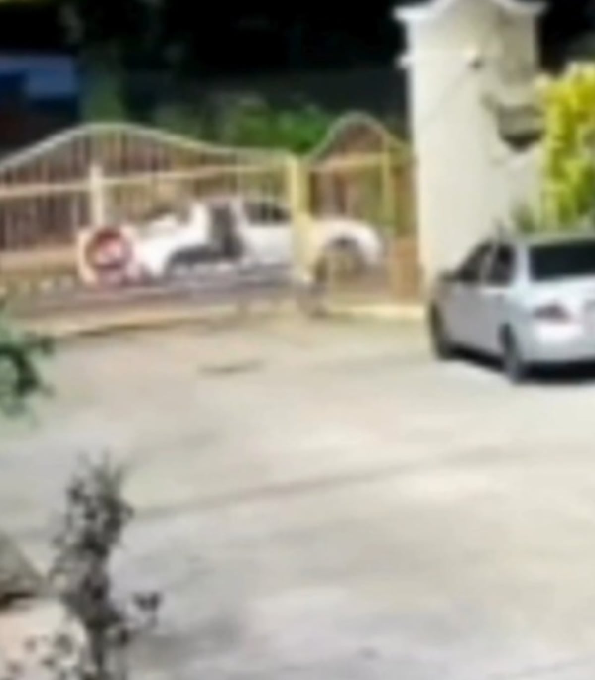 VIDEO | ‘Suave, loco’ no detuvo al sicario: identifican a las víctimas del doble crimen en Pedregal