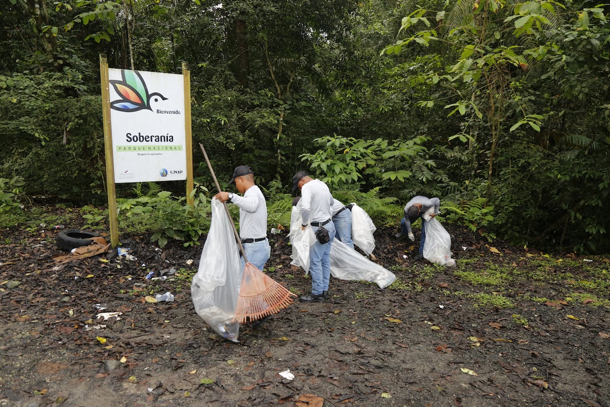 Jornada ambiental limpia la carretera Forestal y retira 600 bolsas de desechos en el Parque Soberanía