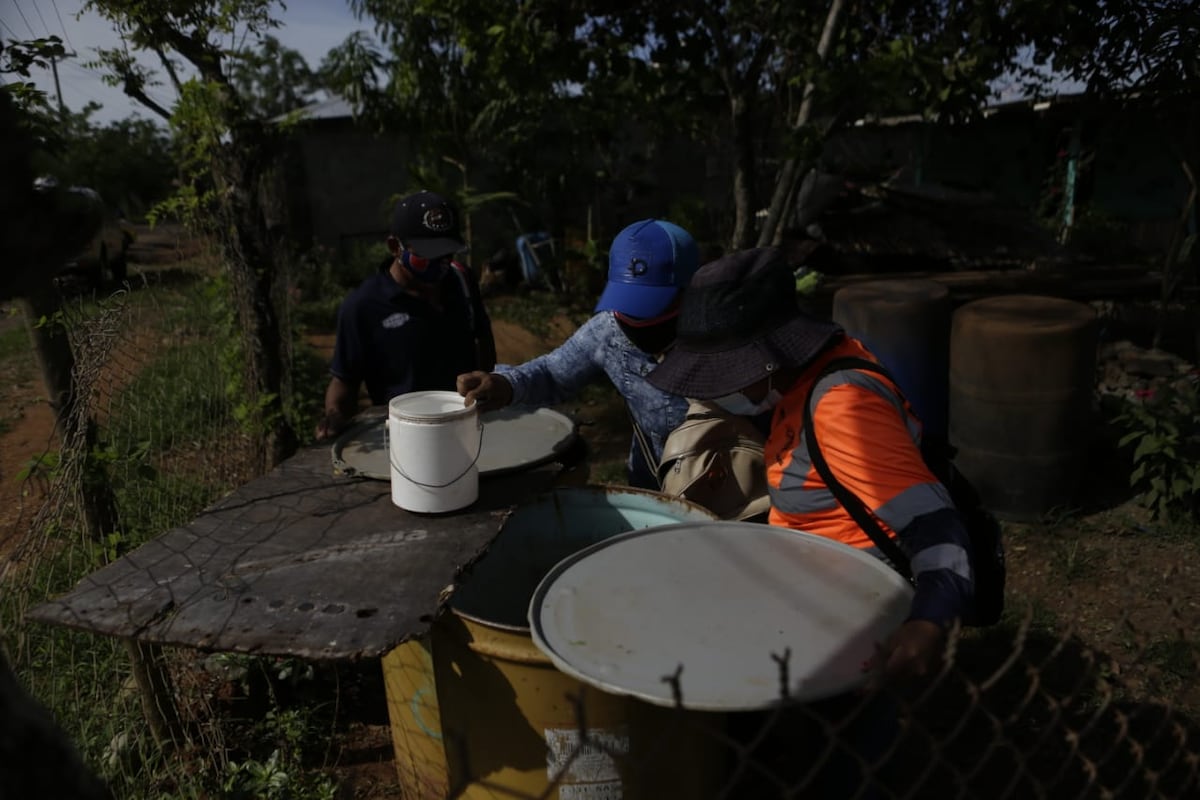Registran mil 506 casos de malaria en lo que va de 2021 en Panamá