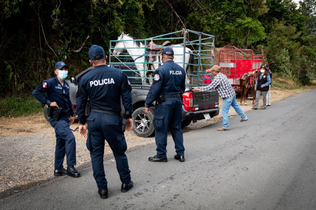 Con drones y a caballo policía combatirá el cuatrerismo en Chiriquí