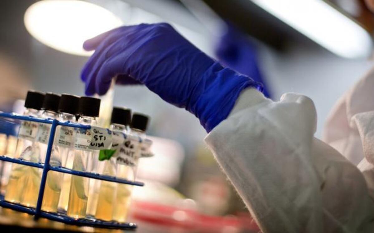 Histórico. Podrían haber encontrado cura del VIH