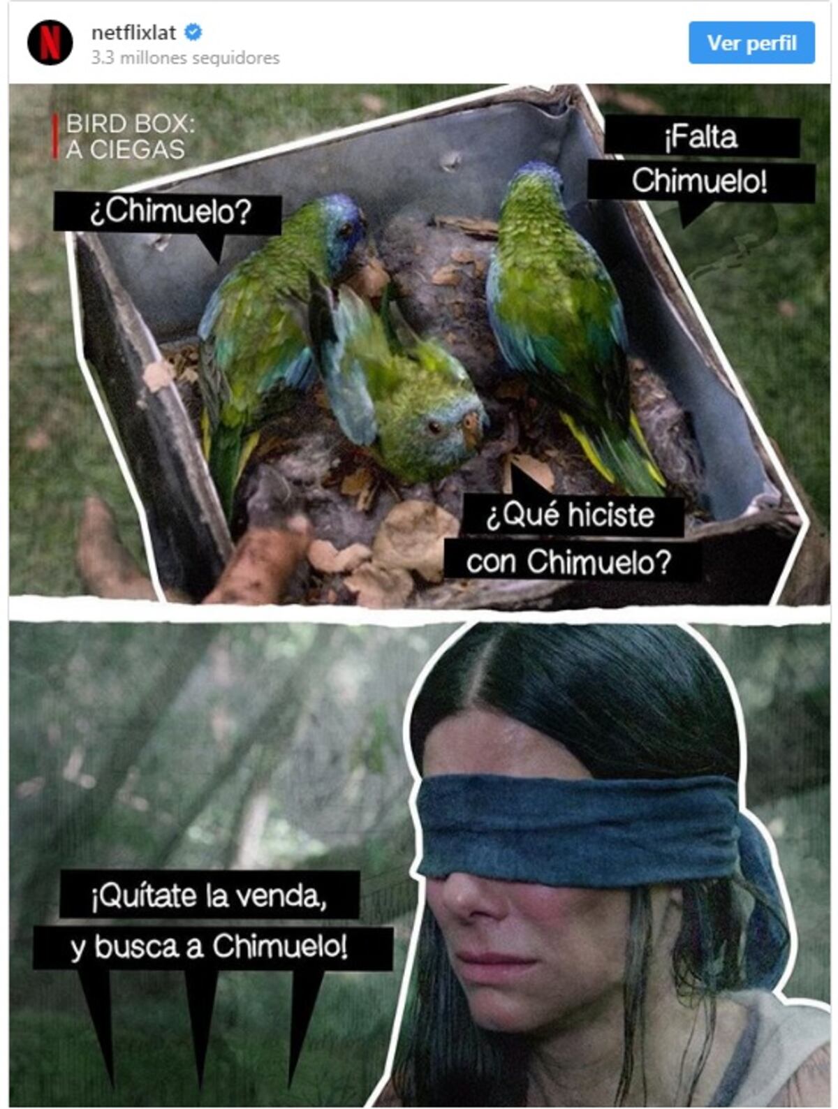 Chimuelo es el video viral que ha provocado la respuesta hasta de Netflix