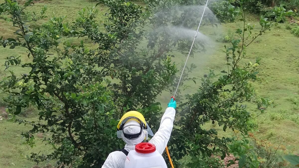 Ojo al dato: retiran ocho plaguicidas de alto riesgo en Panamá