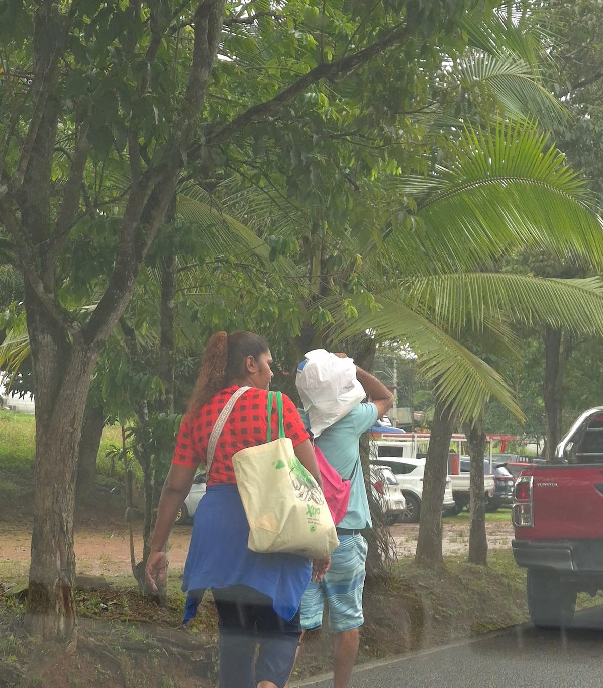 Madrugón en La Cabima y Chilibre desde las 4:00 a.m. por las naviferias: seguirán activas hasta el 19 en el interior