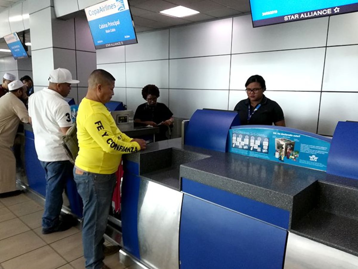 Tachuela, de Panamá, llama la  atención en Florida