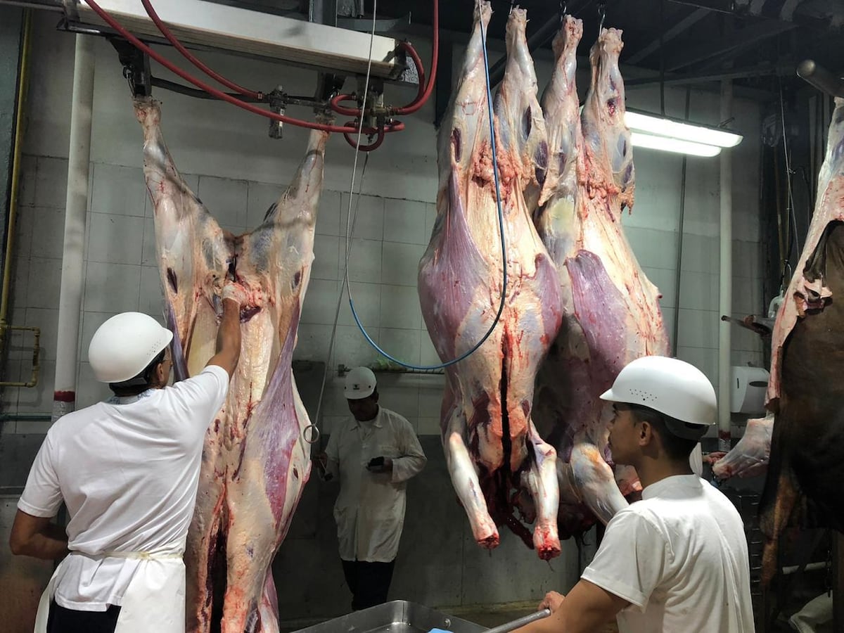 Gobierno gasta 2.7 millones en carne de res para Plan de Seguridad Alimentaria