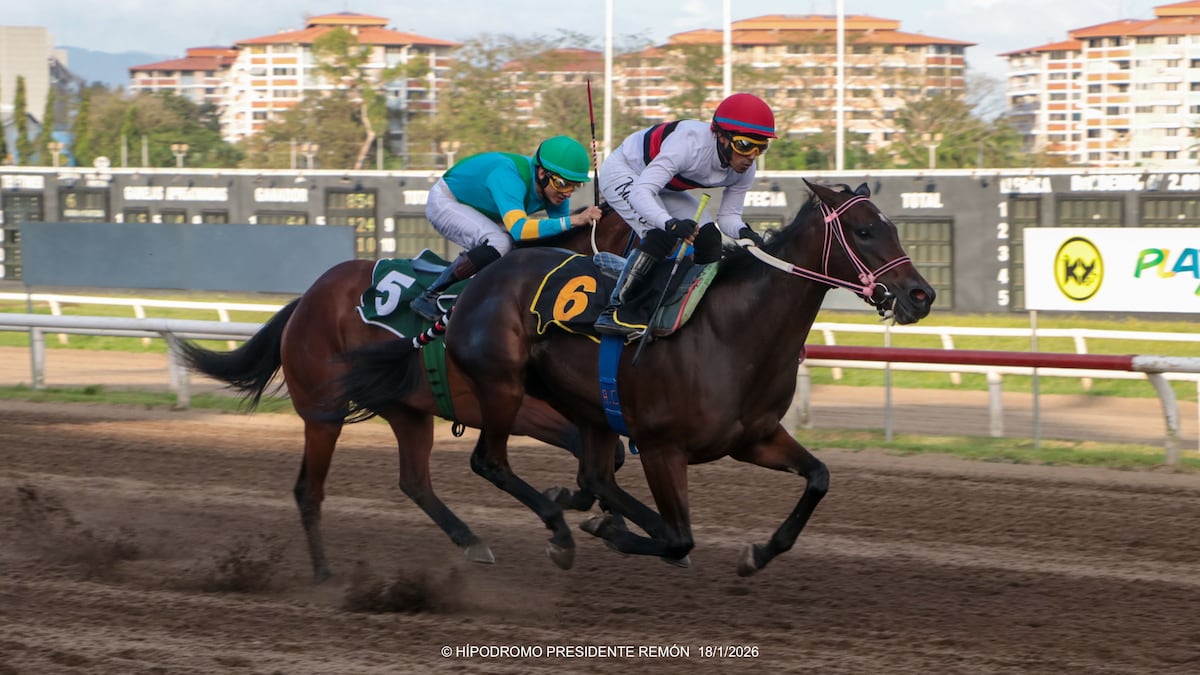 La yegua ‘Como Tú’ voló en los últimos metros y ganó el Premio Especial