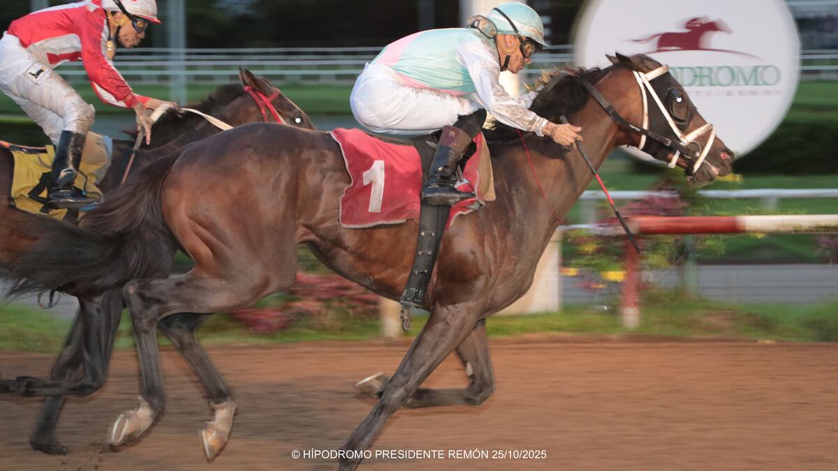 ‘El querer es poder’,  hay que levantar la hípica