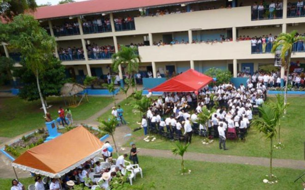 Fiscalía de adolescentes inicia investigación por caso de los gatitos quemados