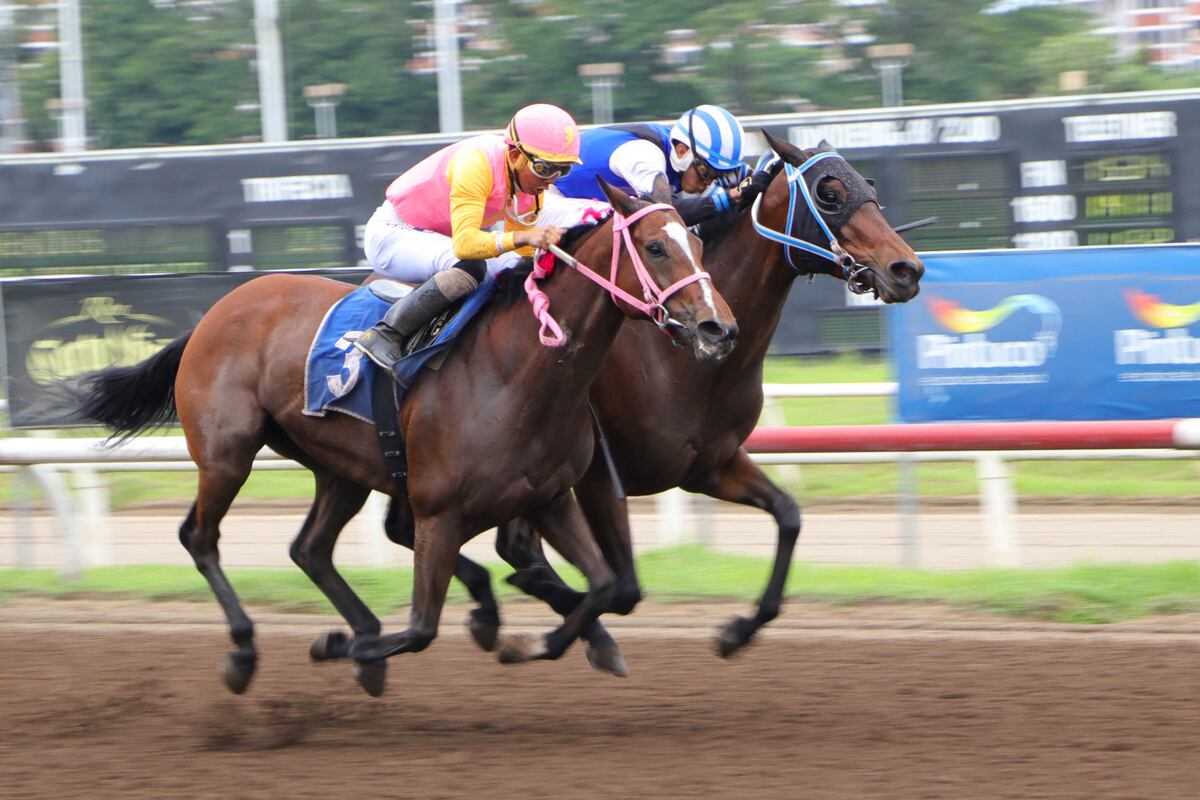 Final de Infarto: ‘Señora Ley’ gana en el último suspiro