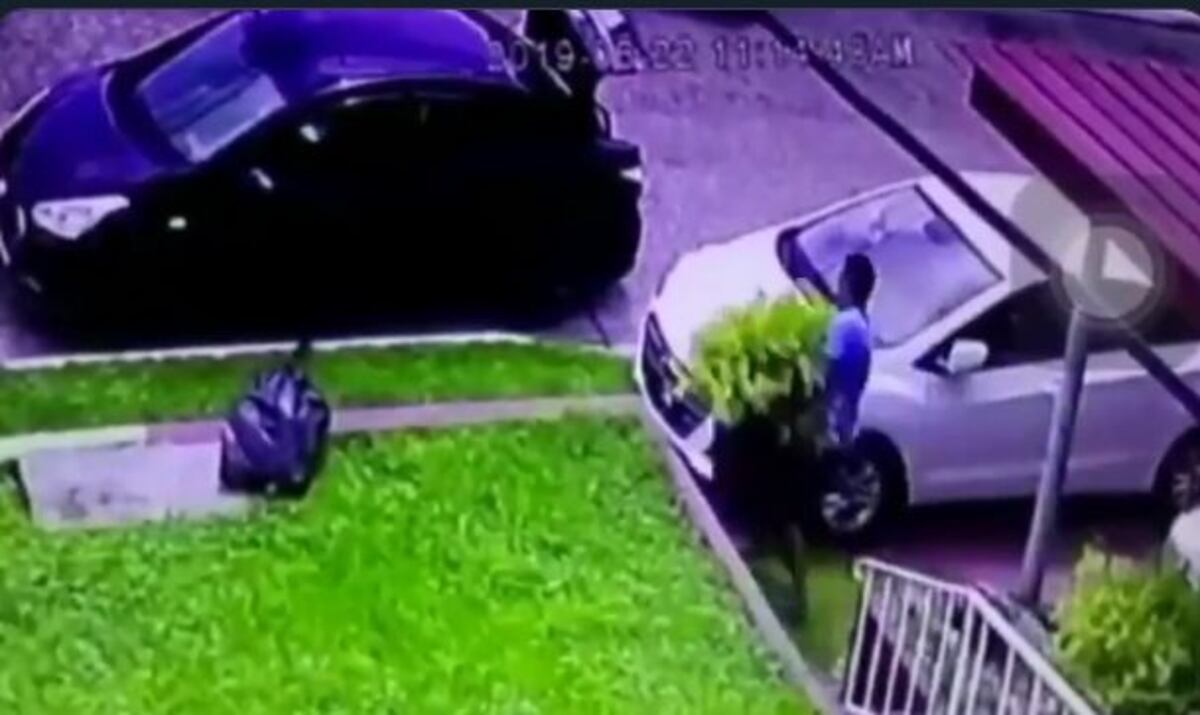 Hombre utiliza toda su fuerza para llevarse las plantas con todo y macetero en Chanis. Video