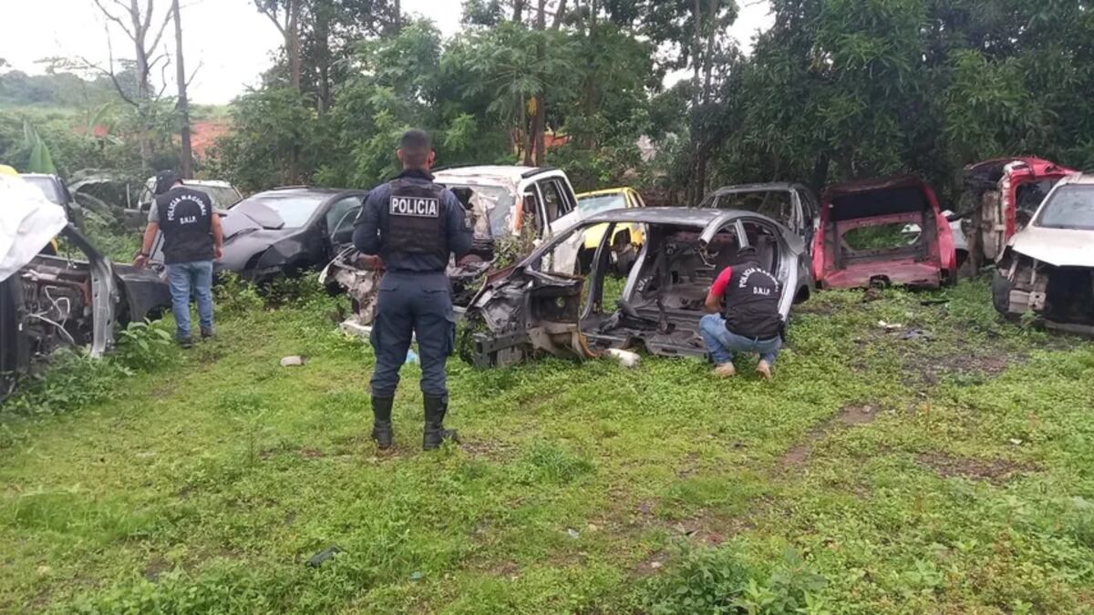 Policía Nacional recupera vehículos con chasis alterado