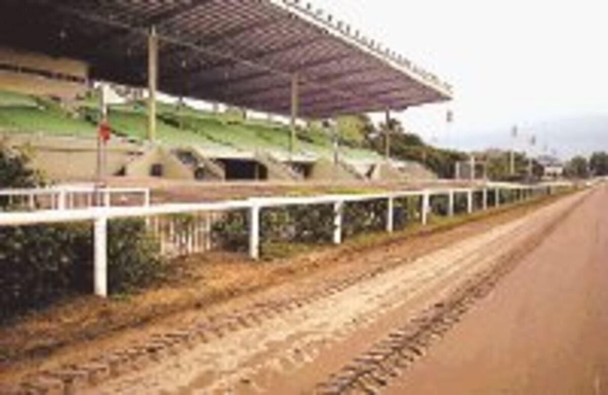 Un jinete pierde la vida en el Hipódromo Presidente Remón