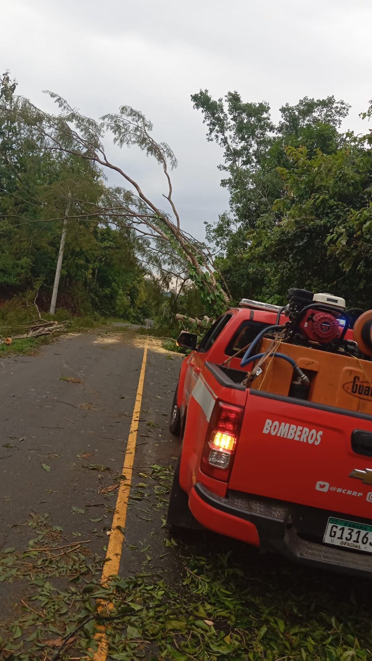 Aguaceros que dan miedo: 801 árboles caídos y 25 derrumbes ya en 2025