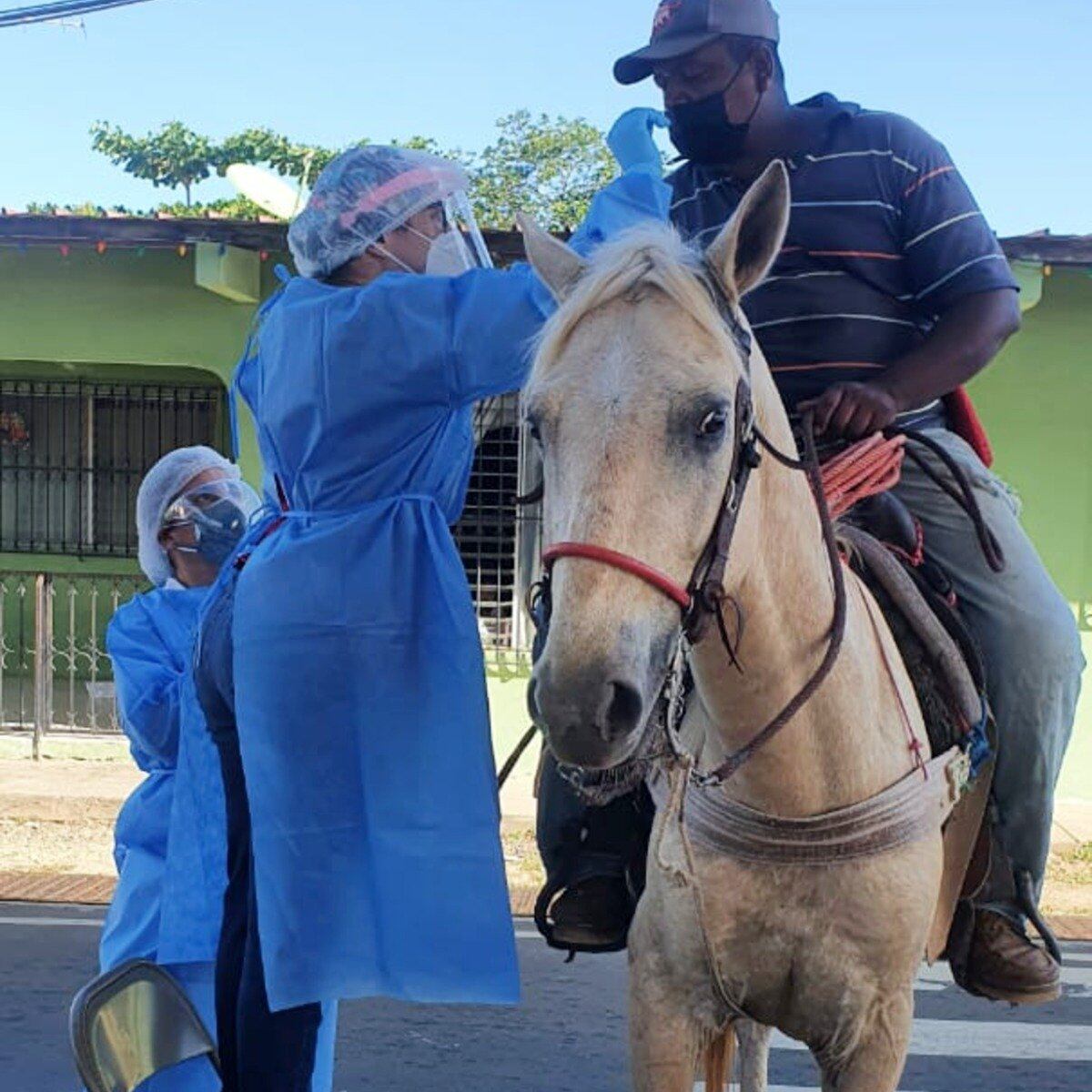 Hasta a caballo van al hisopado express los que desean saber si tienen covid-19