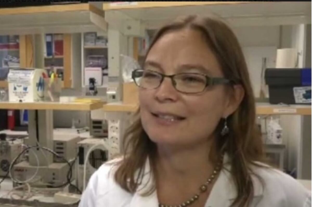 Profesora sueca contrata a mercenarios para que rescataran a un alumno de ISIS