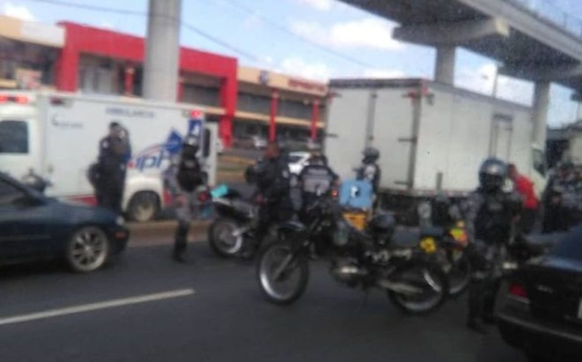 Lince de la Policía muere en vísperas de Navidad tras colisión con un camión