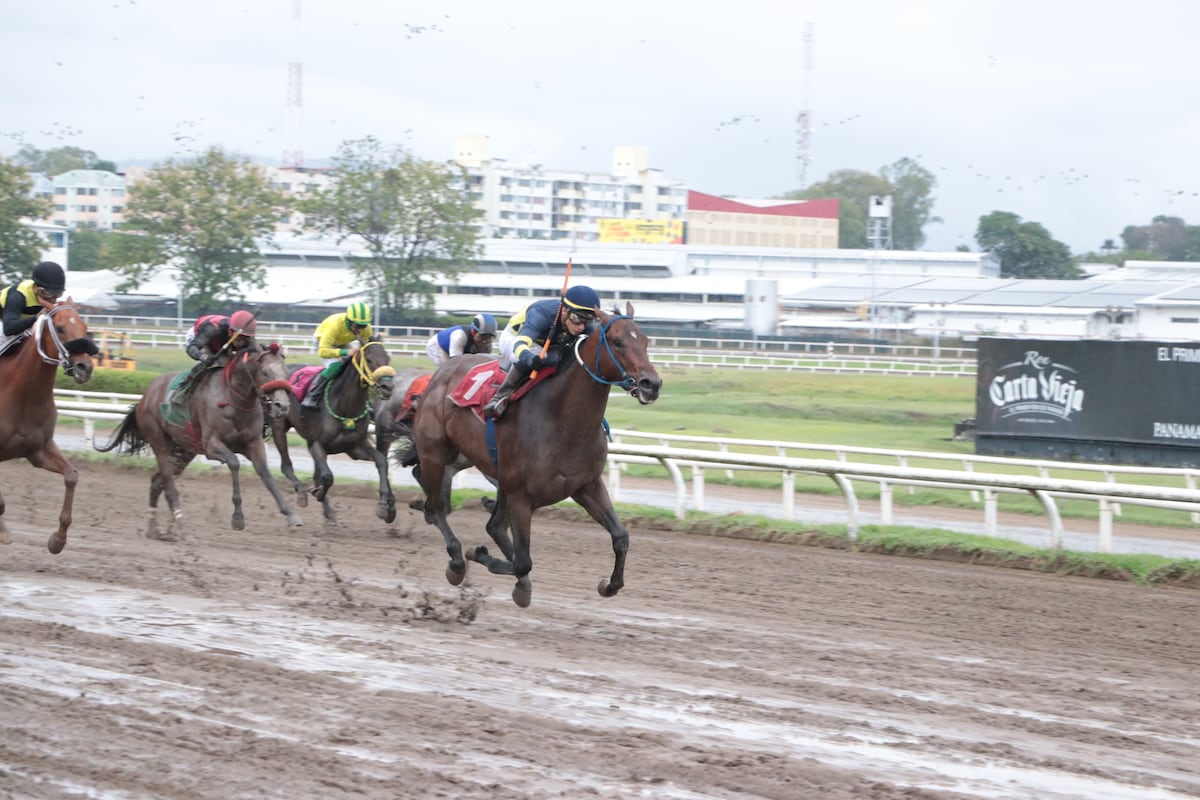 ¡Imparable! Senescal galopa hacia la gloria y conquista el Clásico Día del Trabajador