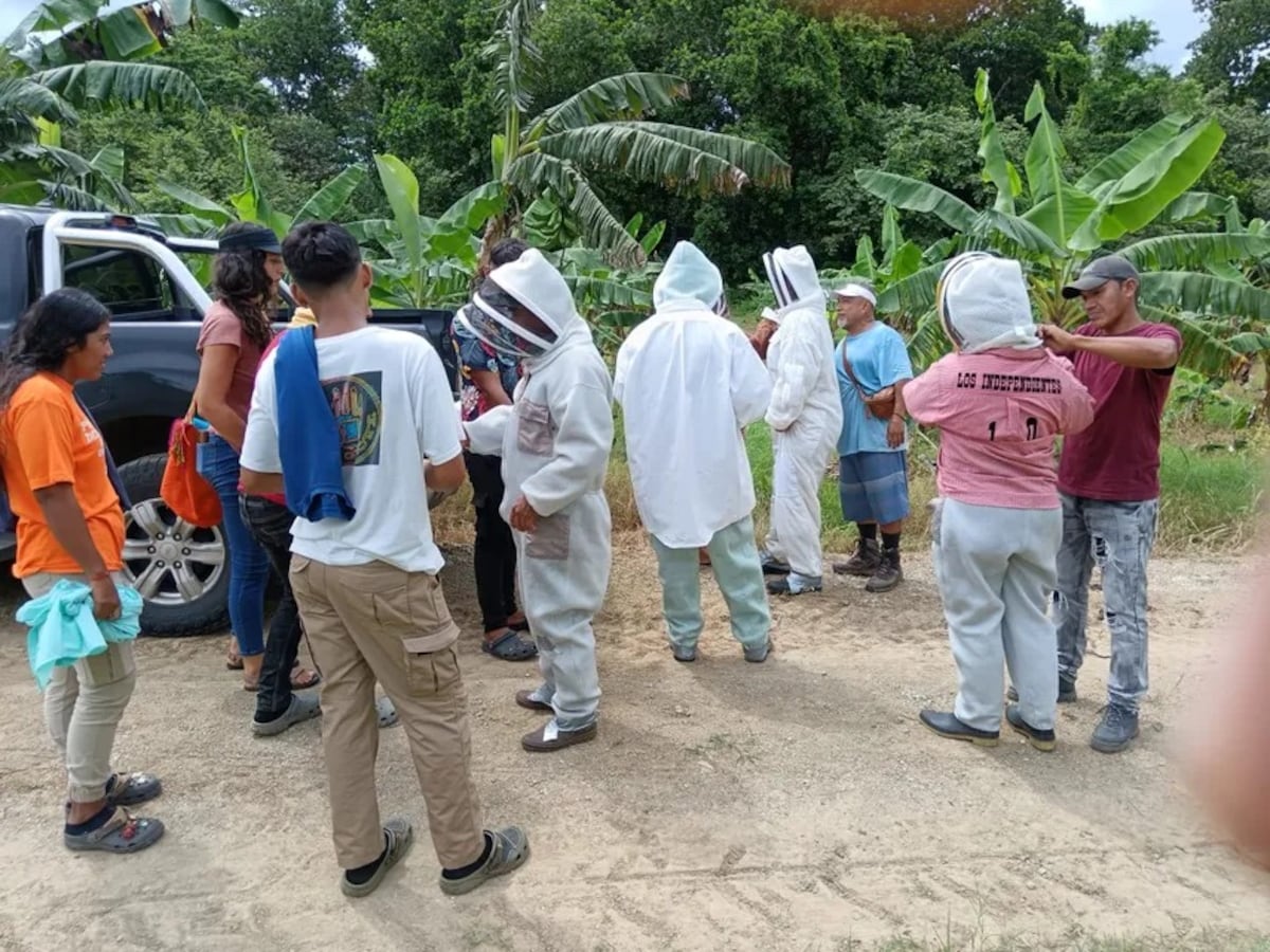 A zumbido limpio: Productores de Chepo se entrenan en apicultura con apoyo del MIDA