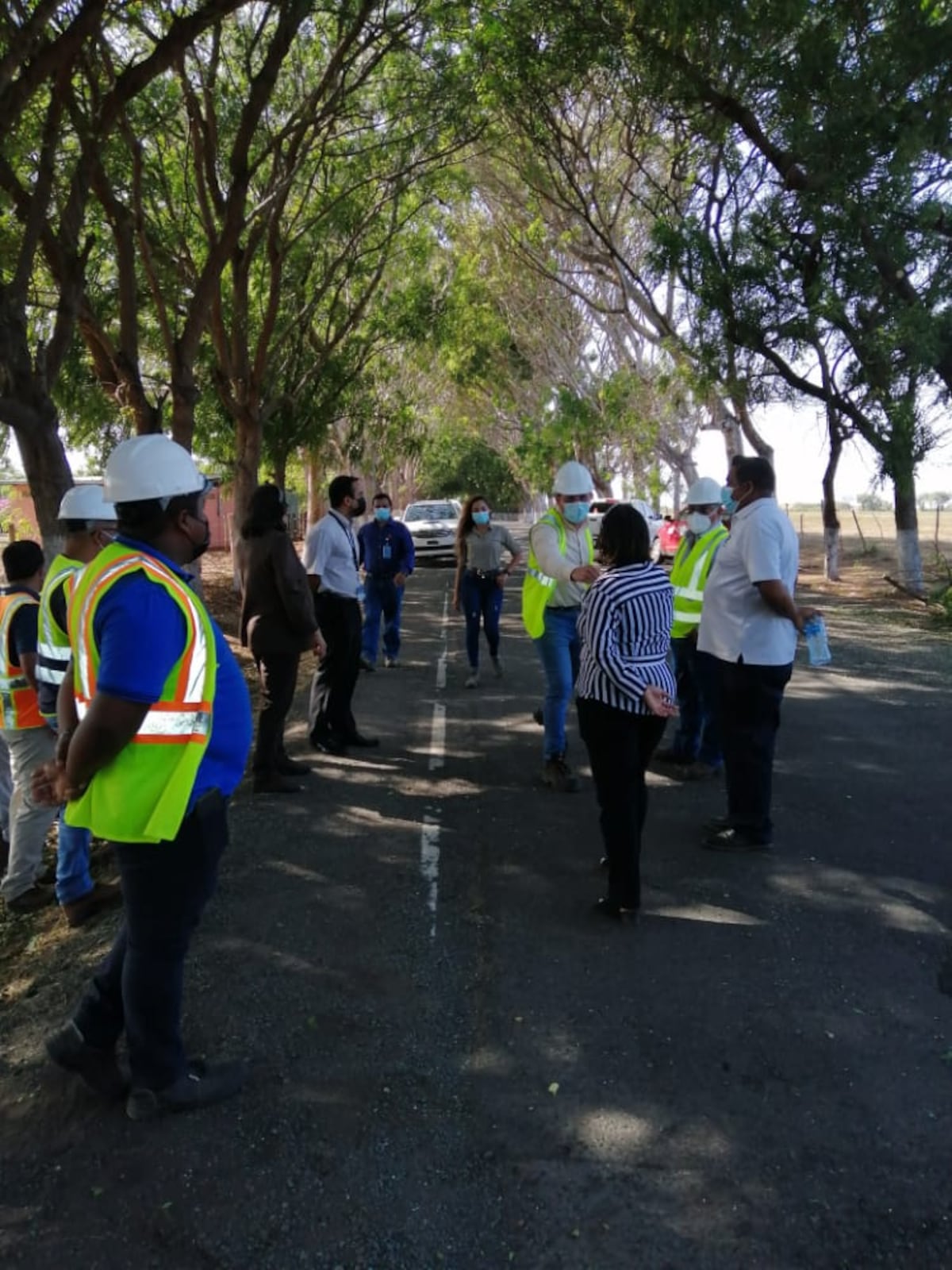 Tras denuncia ciudadana sobre tala de árboles, MiAmbiente aclara que no emitió permiso de tala para túnel verde de Guararé